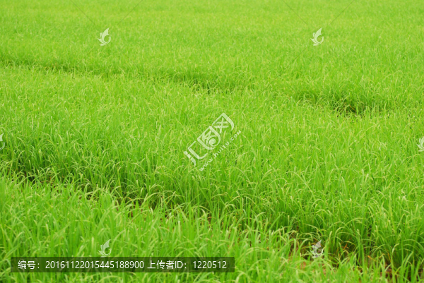 現(xiàn)場(chǎng)特寫