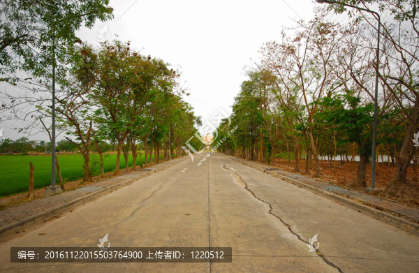 筆直的柏油路