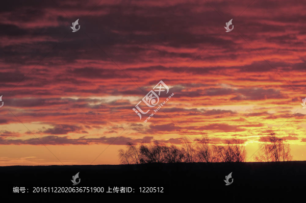 夕陽紅