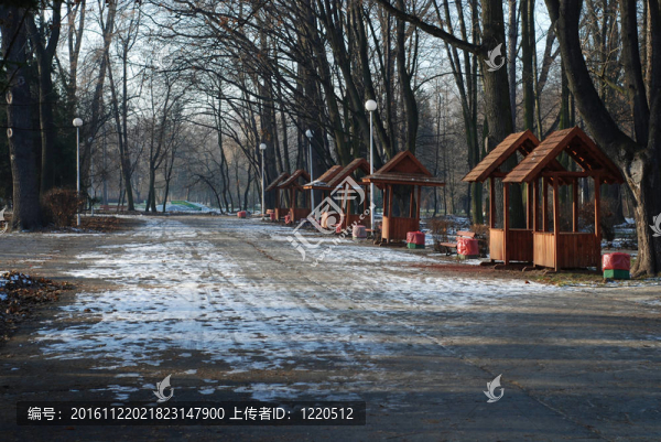 冬季公園路