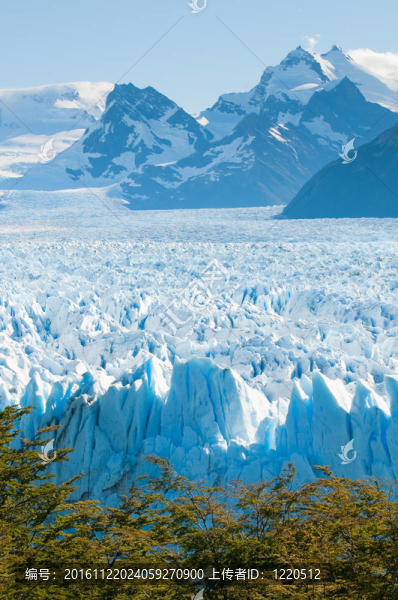 Perito,Moreno,Glacier；巴塔哥尼亞；阿根廷
