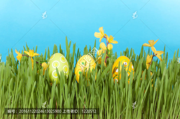 豐富多彩的復(fù)活節(jié)彩蛋