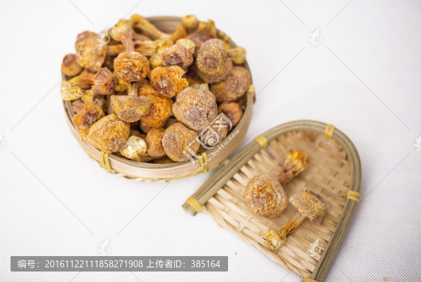 姬松茸
