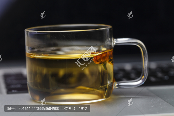 胎菊