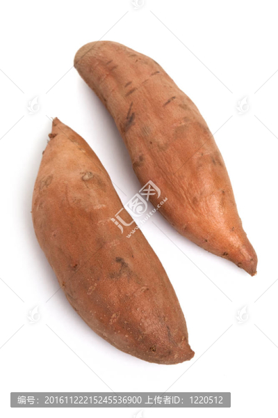 甘薯