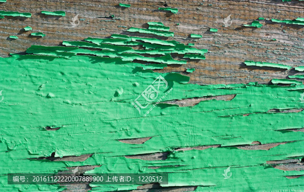 老木紋理