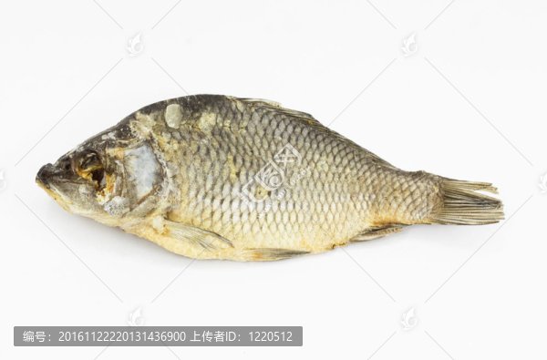 白色背景上分離的干魚(yú)