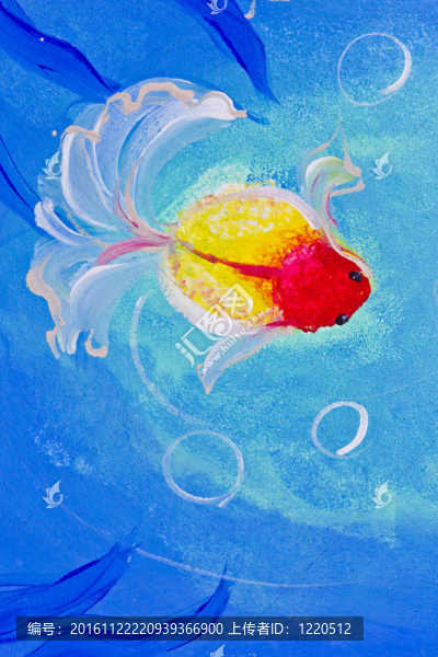 金魚在水里的畫