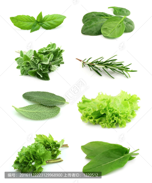綠色和果汁的拼貼