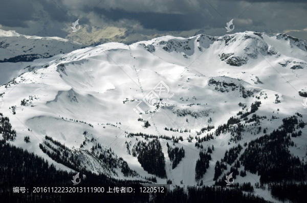 惠斯勒山