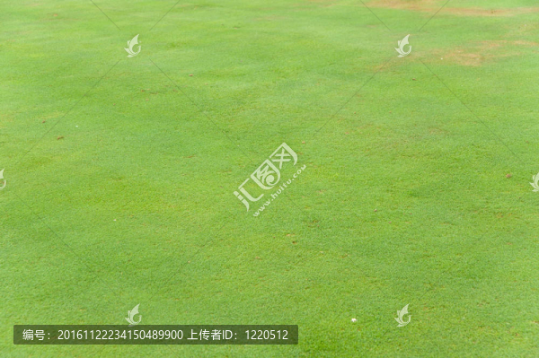 從高爾夫課程綠色草模式