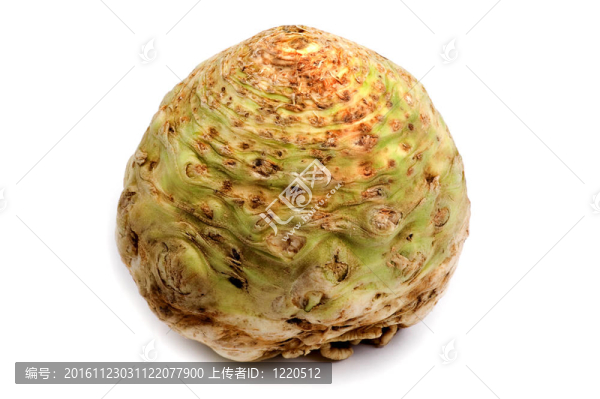 芹菜根