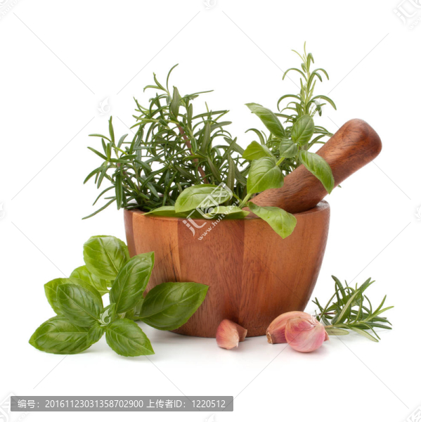 木粉中的新鮮香料和香料