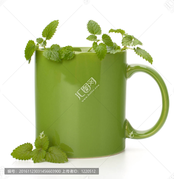 草藥薄荷茶