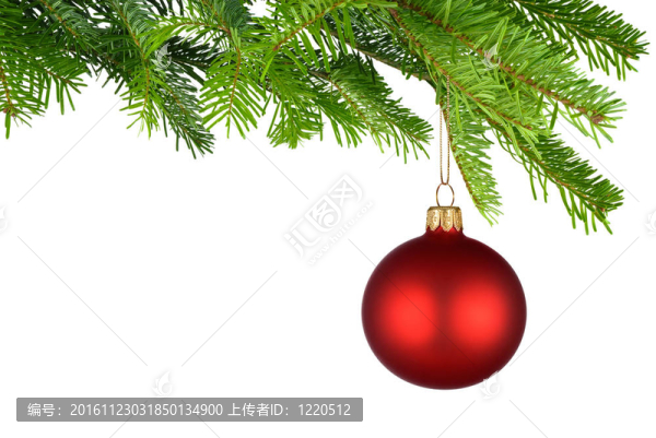 紅色的圣誕玩具掛在翠綠的樹枝