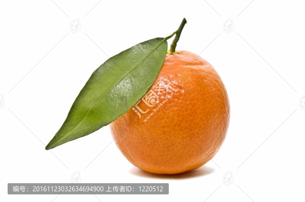 新鮮的橘子