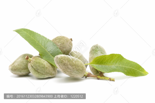 綠色的杏仁