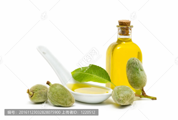 杏仁油和白色背景的綠色
