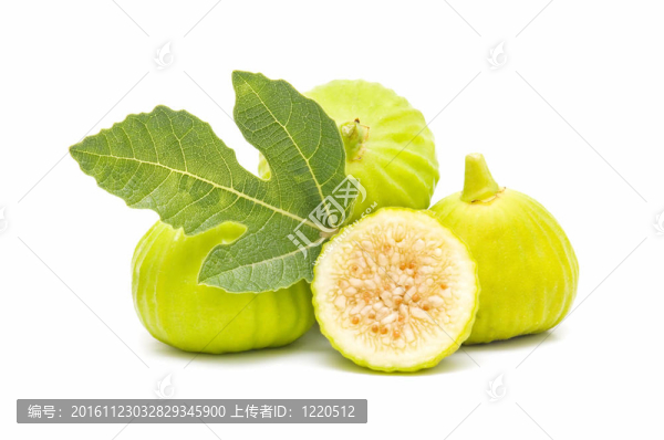 新鮮無花果
