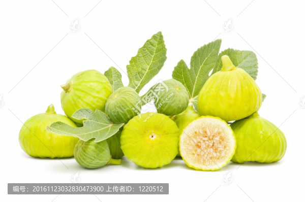 新鮮無花果