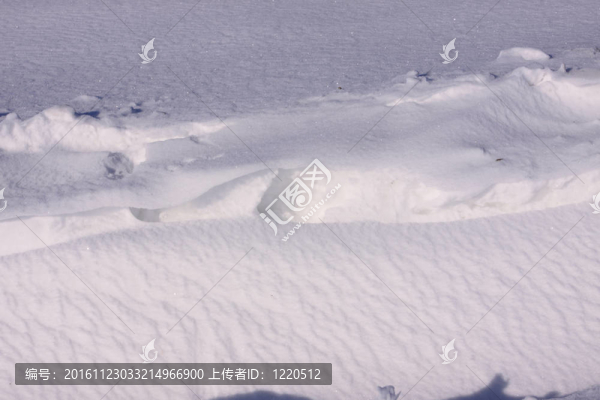 法國(guó)冬日的雪景