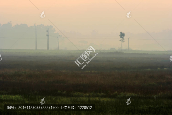 濕地在冬季