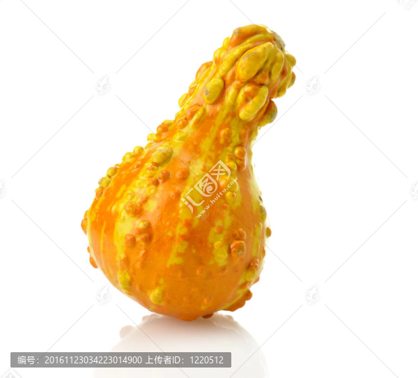 迷你南瓜