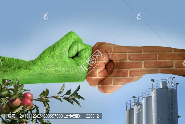 兩個手相互攻擊。生態(tài)學