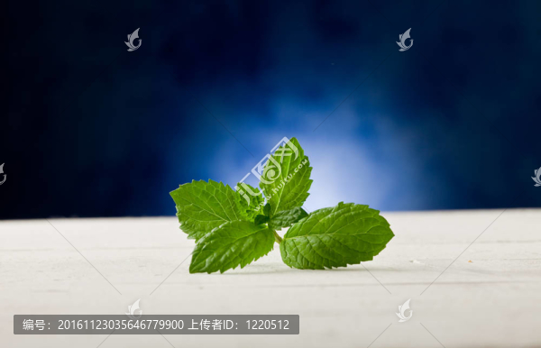 薄荷葉在木制表與射燈