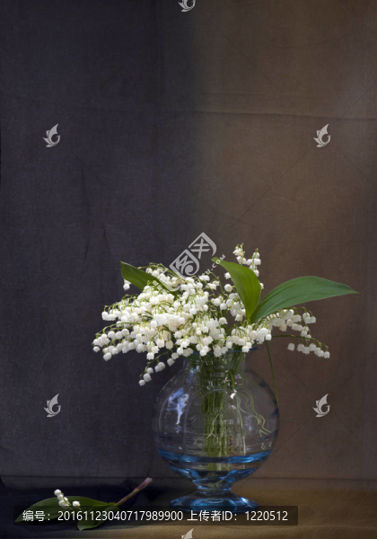 還有生命與百合花的山谷