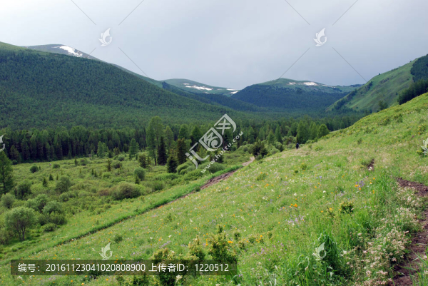 山地景觀