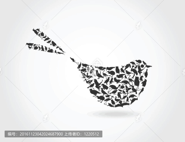 bird6