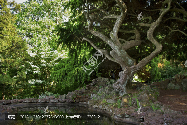 裝飾園