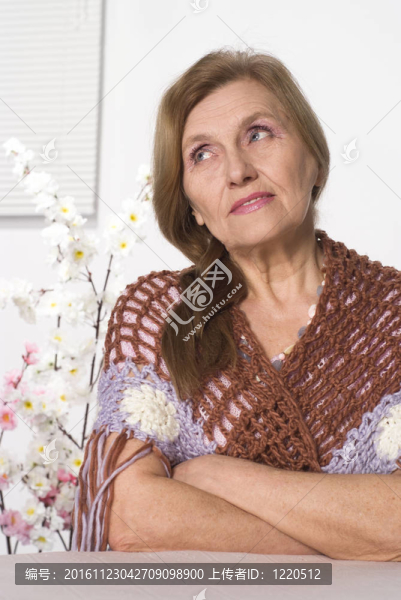 漂亮的老婦人