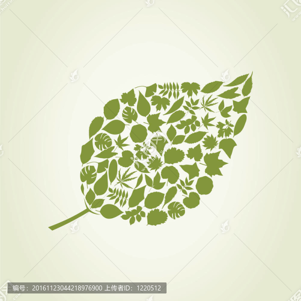 leaf6