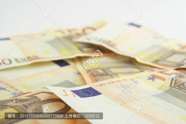 很多歐元貨幣