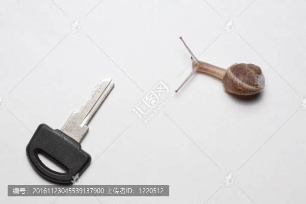 蝸牛的關(guān)鍵