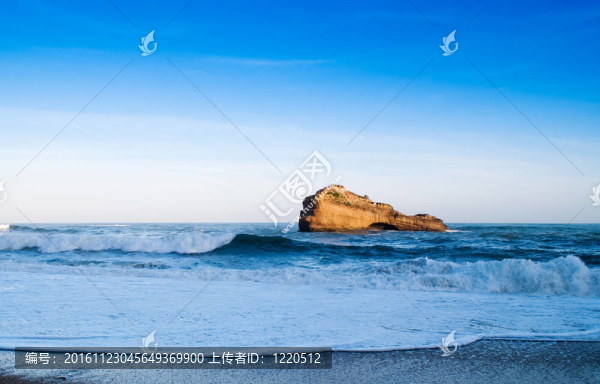 海洋