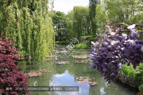 花園里的河