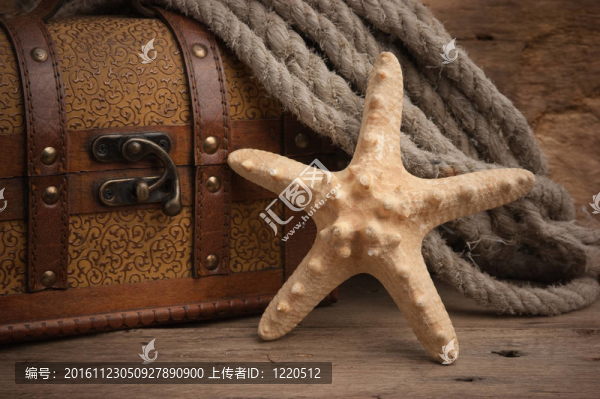 胸部和海星