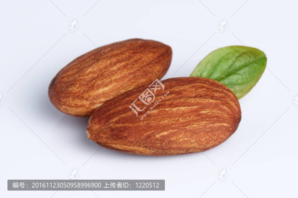 杏仁仁葉
