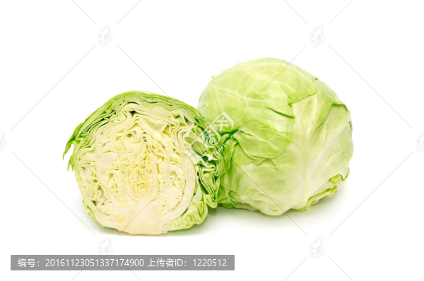 白菜頭