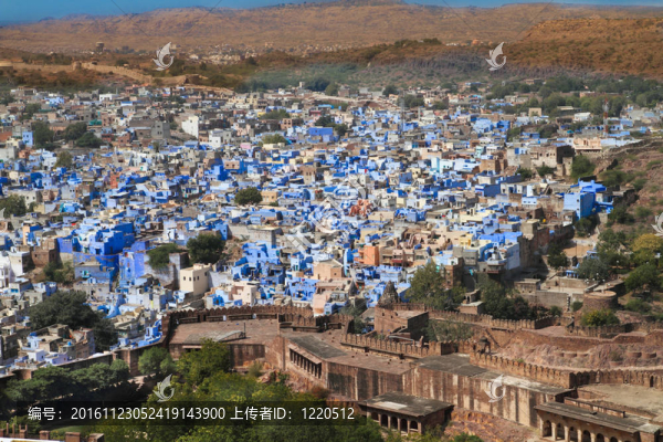 一個在Jodhpur觀蘭市；印度。