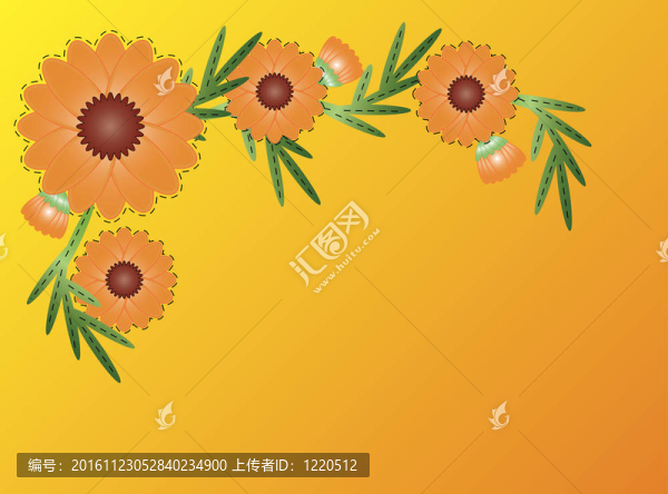 jpg百日草花境