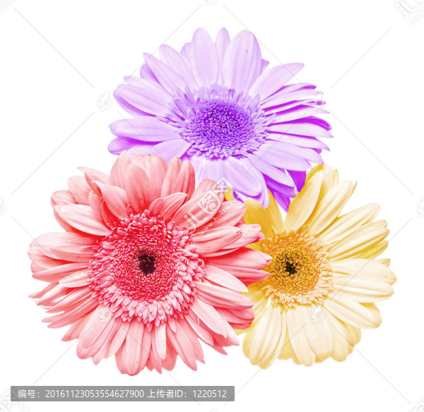 三下的花