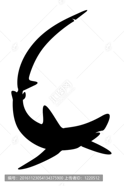 鯊魚