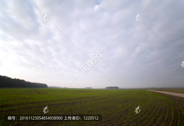 場。
