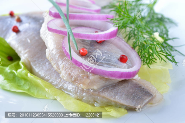 白鯡魚