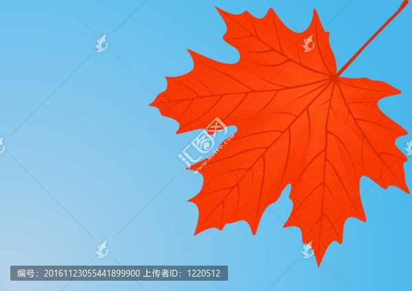 楓葉紅楓葉。