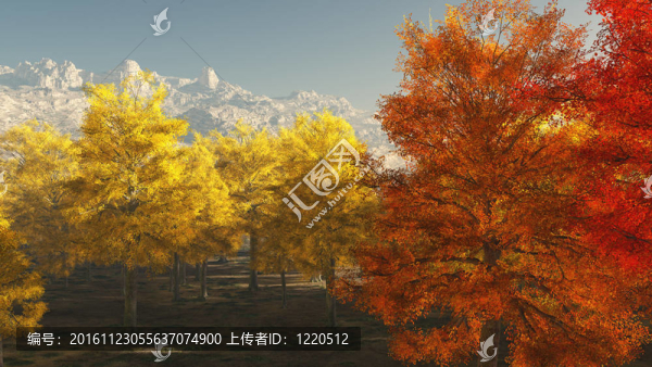 山中的秋天